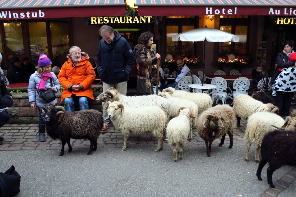 21 RIBAUVILLE.JPG - 21 RIBEAUVILLE